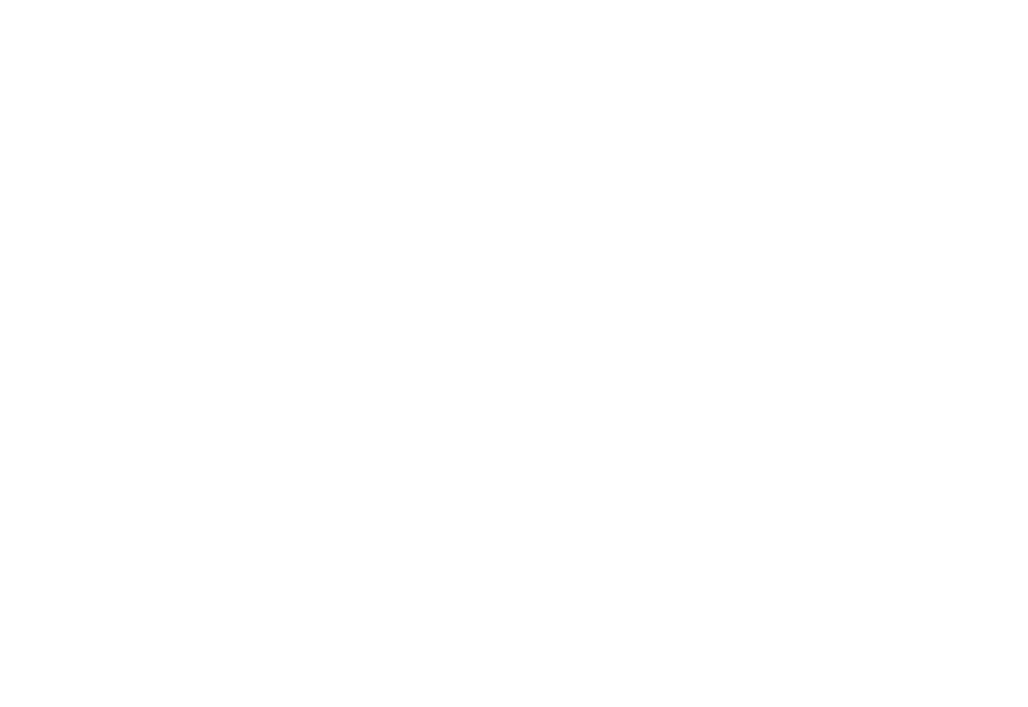 Festivalul Piraților